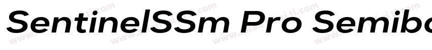 SentinelSSm Pro SemiboldItalic字体转换